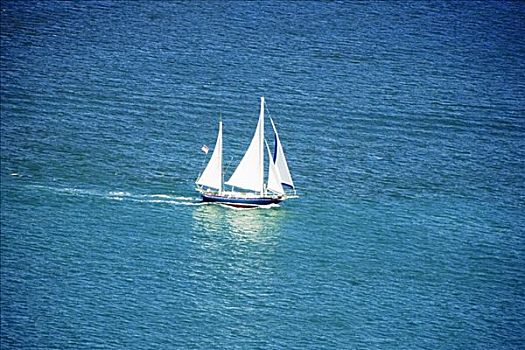俯拍,两个,帆船,圣地亚哥湾,圣地亚哥,加利福尼亚,美国