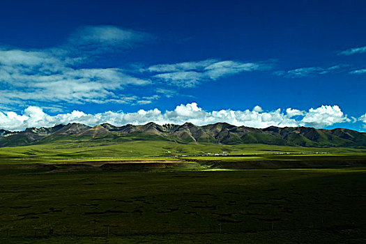藏北雪山草原