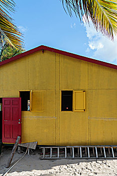 加勒比,安圭拉,扬声器,室外,亮黄色,建筑