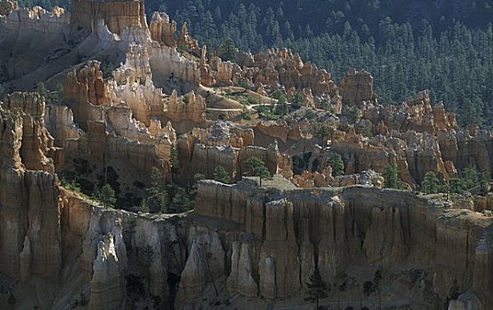 俯拍,岩石构造,圆形剧场,布莱斯峡谷国家公园,犹他,美国