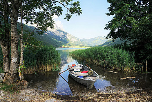 渔船,湖,提洛尔,阿尔卑斯山