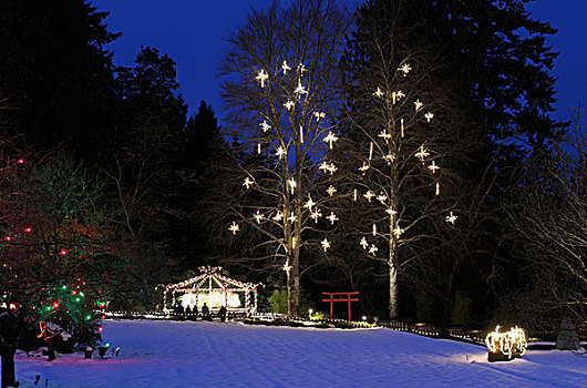 加拿大,不列颠哥伦比亚省,维多利亚,圣诞灯光,雪,布查特花园