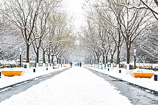 雪景