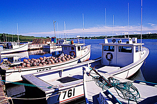 渔船,港口,法国河,爱德华王子岛,加拿大