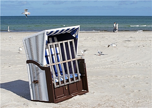 沙滩椅,海洋