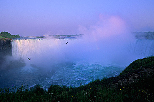 加拿大,安大略省,尼亚加拉瀑布,尼亚加拉河,马蹄铁瀑布,晚间