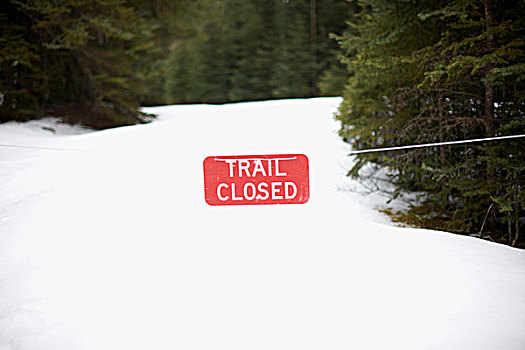 警告标识,积雪,风景,班芙,加拿大