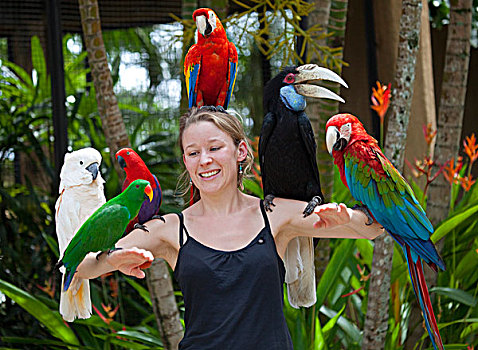 巴厘岛,游客,姿势,种类,鸟,公园