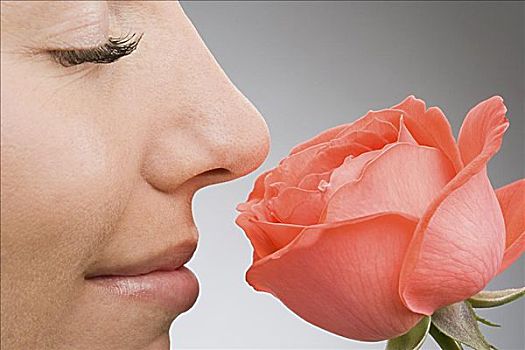 女人,嗅,玫瑰
