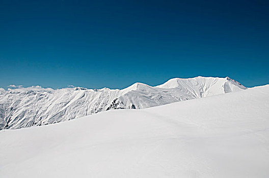 高山,雪