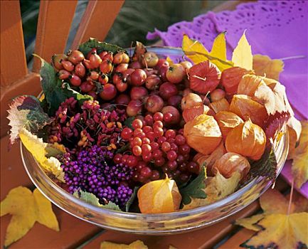 玻璃碗,灯笼草,荚莲属植物,浆果,野玫瑰果