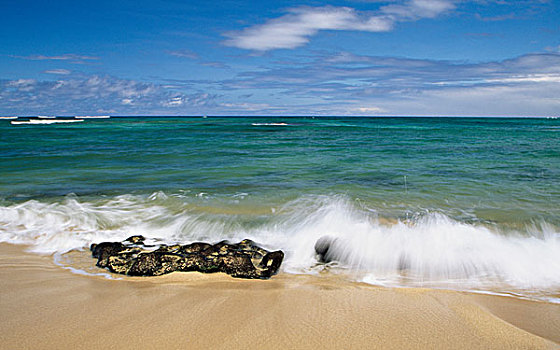 海滩,瓦胡岛,夏威夷,美国