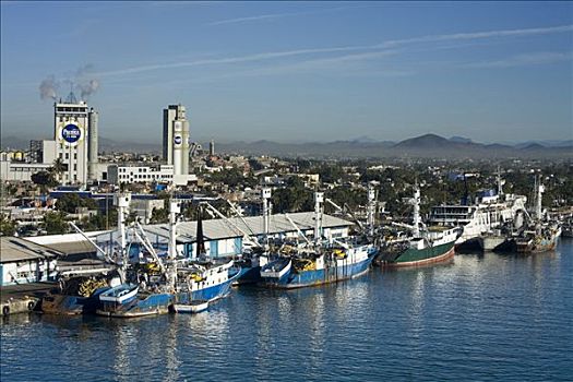 渔船,码头,玛扎特兰,锡纳罗亚州,墨西哥