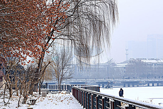 公园雪景