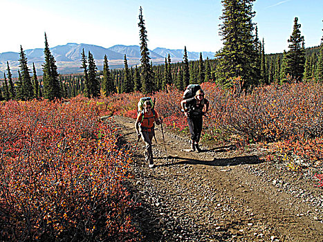 两个女人,背包旅行,保护区,河,德纳里峰国家公园,室内,阿拉斯加,秋天