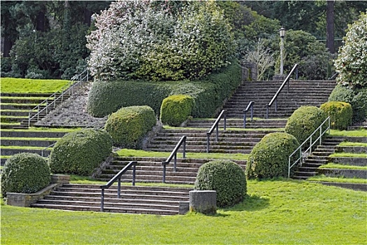 公园,楼梯