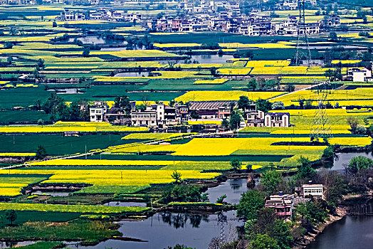 安徽省芜湖市响水涧油菜花田园乡村自然景观