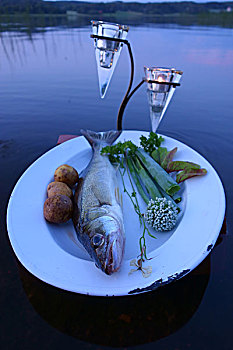 鲜鱼,抓住,盘子,蔬菜,高处,水,湖,夏天,晚间,芬兰