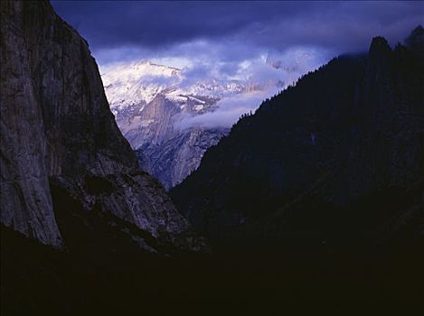 剪影,树,山峦