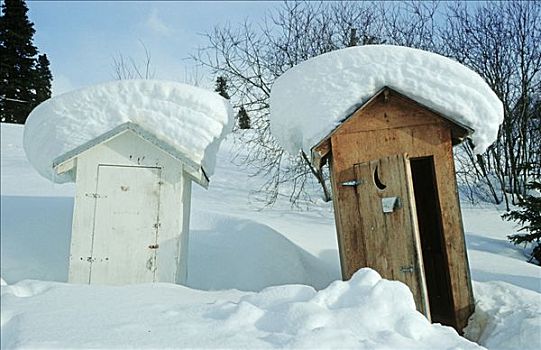积雪,厕所,冬天,阿拉斯加,北美