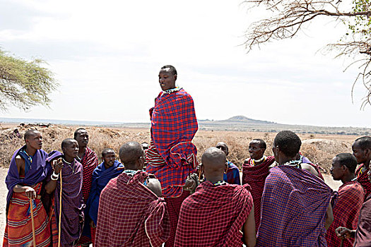 一群人,男人,跳跃,跳舞,马萨伊,乡村,恩格罗恩格罗,区域,塞伦盖蒂国家公园,坦桑尼亚,东非,非洲