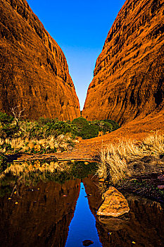 峡谷,奥加斯石群,卡塔曲塔,乌卢鲁卡塔曲塔国家公园,北领地州,澳大利亚