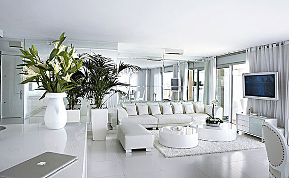 白色,休闲沙发,区域,靠近,皮沙发,低,茶几,地毯,当代建筑