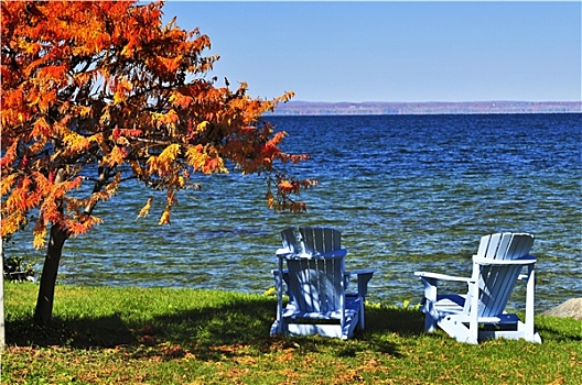 木椅,秋天,湖