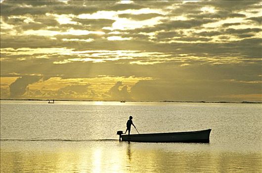 毛里求斯,岛屿,捕鱼者,小,船,海洋,早晨