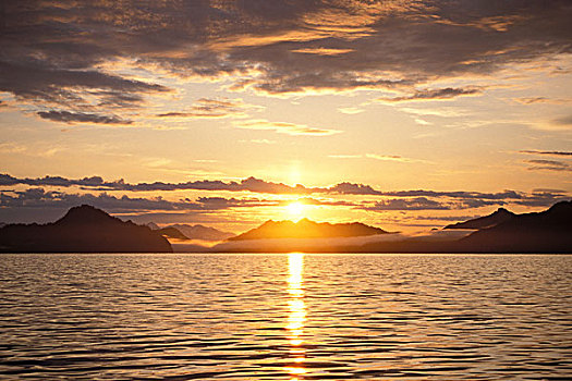 日出,上方,奇奈峡湾国家公园,阿拉斯加