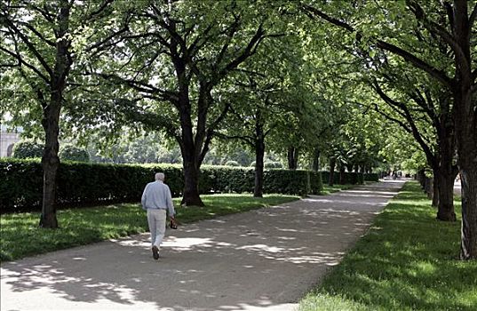 慕尼黑,德国,2005年,一个,男人,走,宫廷花园,市中心