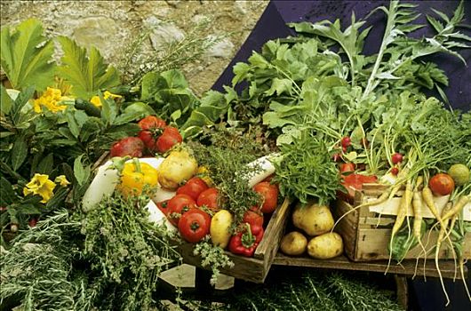 种类,花园,蔬菜