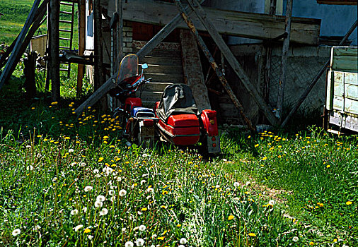 红色,摩托车,轻快的双轮马车,停放,野花,草地,正面,木头,房子,乌克兰,2008年