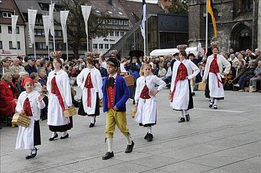 社会,乌尔姆,节日,2008年,巴登符腾堡,德国,欧洲