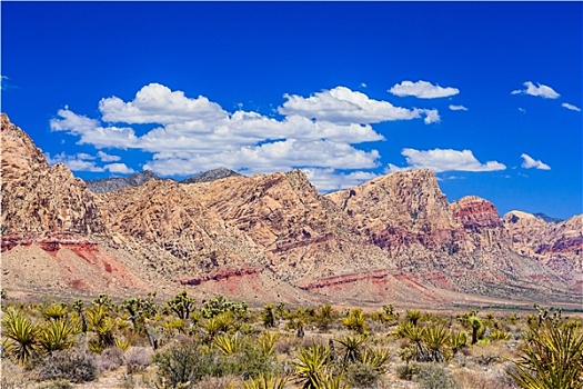 红岩峡谷,全景,莫哈维沙漠,内华达,美国