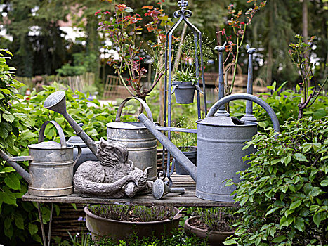 静物,老,浇水,罐,浪漫,花园