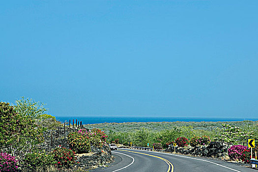 道路,通过,风景,霍那吾那吾,夏威夷大岛,夏威夷,美国