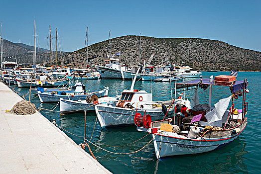 渔船,港口,阿格利司,伯罗奔尼撒半岛,希腊,欧洲