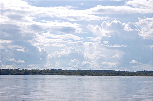 亚马逊河,风景