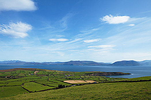 田园,乡村,靠近,公牛,头部,远眺,丁格尔湾,远景,克俐环,丁格尔半岛,凯瑞郡,爱尔兰