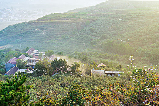 山东沂蒙山区的山村果园