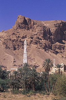 也门,旱谷,哈德拉毛,棕榈树,尖塔
