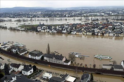 岛屿,中间,莱茵河,高,洪水,莱茵兰普法尔茨州,德国