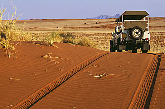 旅游,交通工具,轮胎印,纳米布沙漠