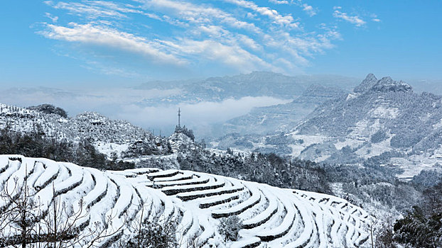 四川宜宾珙县鹿鸣茶山冬季雪景