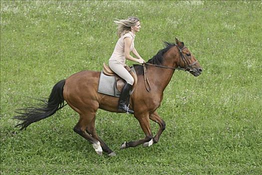 女骑手,骑马,驰骋,绿色,草地