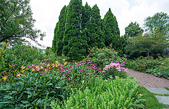 绿雕塑,花园,马里兰,漂亮,植物,粉色,花,旅游