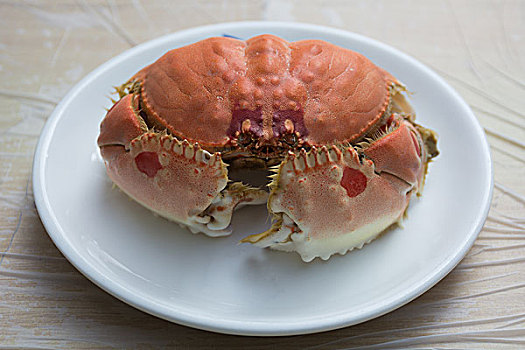 螃蟹面包蟹