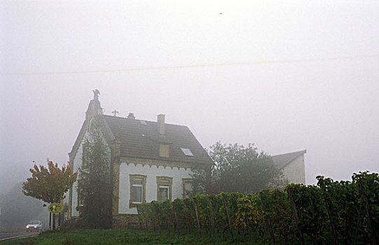 房子,雾气