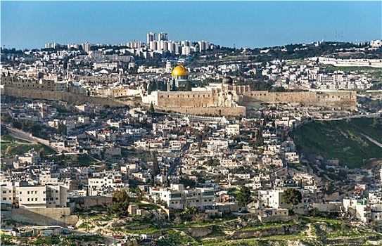 全景,橄榄,穹顶,石头,老城,墙壁,耶路撒冷